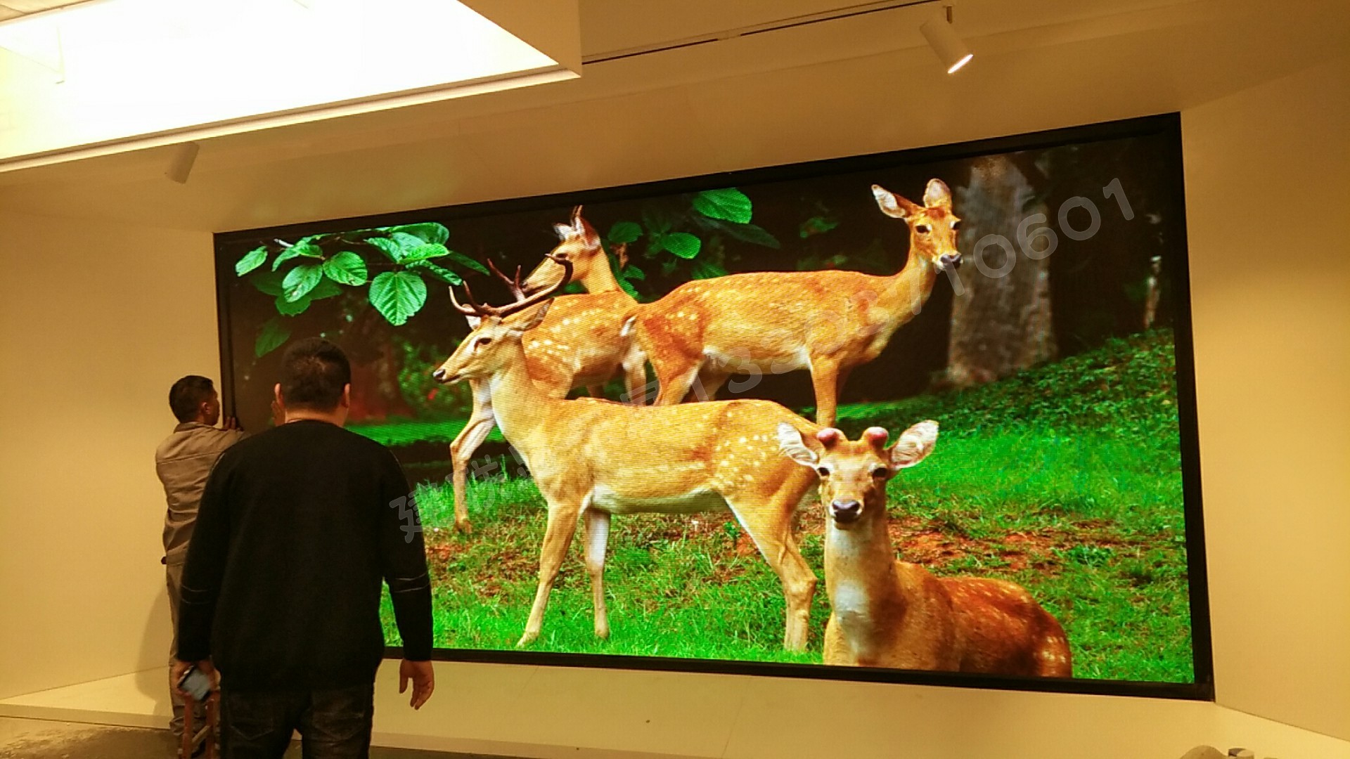 郑州LED显示屏 郑州LED显示屏